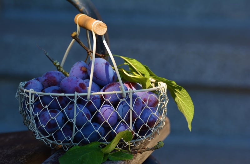 DIY Gift Baskets